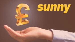 Sunny Loans: Fast and Flexible Short-Term Loans