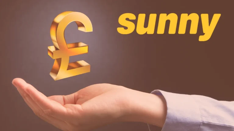 Sunny Loans: Fast and Flexible Short-Term Loans