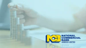Explore Top NCB Loans for Your Financial Goals